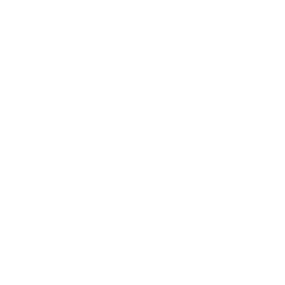 icon_trans_record
